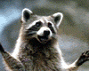 image de Dr. Dolittle 2 Extrait vidéo VF