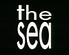 image de The Sea Bande-annonce VO