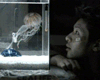 image de Jellyfish Bande-annonce VO
