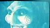 image de Saw 2 Teaser VO