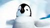 image de Happy Feet Bande-annonce (3) VO