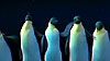 image de Happy Feet Extrait vidéo (3) VO