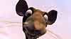 image de Le Vilain petit canard et moi Bande-annonce VF