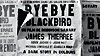 image de Bye bye blackbird Teaser VF