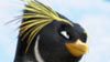 image de Les Rois de la glisse Teaser VF