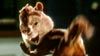 image de Alvin et les Chipmunks Extrait vidéo (4) VF