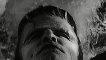 image de Frankenstein rencontre le Loup-garou Bande-annonce VO