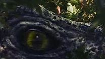 image de La Malédiction de Komodo Bande-annonce VO