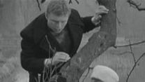 image de Cybele ou Les Dimanches de Ville d'Avray Extrait vidéo (3) VF