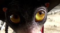 image de Rango Bande-annonce (3) VO