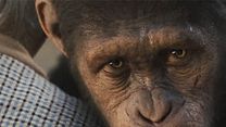 image de La Planète des singes : les origines Extrait vidéo VF
