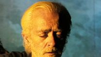 image de Flamenco, Flamenco Bande-annonce VF
