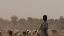 image de Carnets d'un grand détour Bande-annonce VF