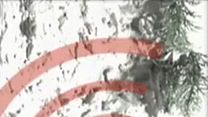 image de The End of The World Film ou épisode complet VF