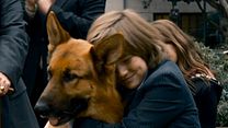 image de Rintintin à New York Bande-annonce VO