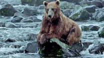 image de Terre des Ours - EXTRAIT VF "La pèche"