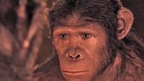 image de La Planète des singes : l'affrontement Teaser VO