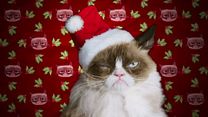 image de Joyeux Noël Grumpy Cat Bande-annonce VO