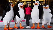 image de Les Pingouins de Madagascar inaugurent la patinoire de l'Hôtel de Ville de Paris