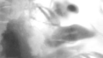 image de L'Enfant nuage Film ou épisode complet VF