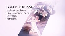 image de Ballets Russes (UGC Viva l'opéra - FRA Cinéma) Bande-annonce VF