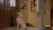 image de La Fête à la maison : 20 ans après - saison 1 Teaser VO
