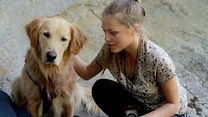 image de Army Dog Bande-annonce VO