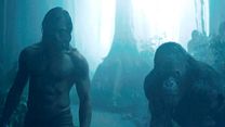 image de Tarzan Bande-annonce VF