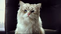 image de Ma vie de chat Bande-annonce VO