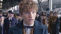 image de Les Animaux fantastiques Bande-annonce (2) VO