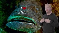 image de The Jim Gaffigan Show - saison 2 Teaser VO