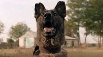 Dogs Bande-annonce VO