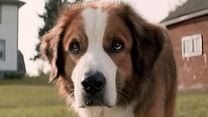 image de Mes vies de chien Bande-annonce VO