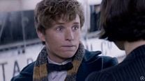 image de Les Animaux Fantastiques - Bande Annonce finale VF