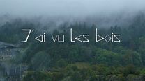 image de J'ai vu les bois Bande-annonce VF