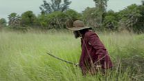 image de Zama Bande-annonce VO