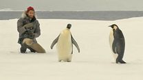 image de L'Odyssée BONUS "Tournage en Antarctique"