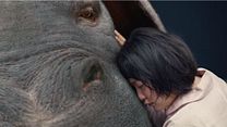 image de Okja Bande-annonce (2) VO