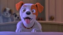 image de Mon plus beau cadeau de Noël Bande-annonce VO