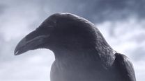 image de Vikings - saison 5 Teaser "Le corbeau" VO
