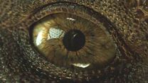 image de Jurassic World: Fallen Kingdom Teaser (2) VF