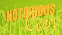image de Notorious Corn Film ou épisode complet VF