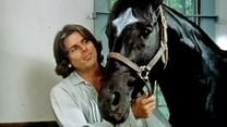 image de Les Aventures de Black Beauty Bande-annonce VF