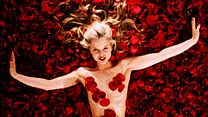 image de "American Beauty"