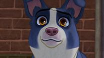 image de Nous, les chiens EXTRAIT VF "Recrue"