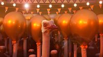 image de The Ostrich Politic Bande-annonce VF