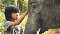 image de Lucky l'éléphant Bande-annonce VO