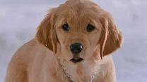 image de Les Copains des neiges Teaser VO