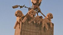 image de Les Copains chasseurs de trésor Bande-annonce VF