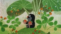 image de La Petite taupe aime la nature EXTRAIT VF "Fraises"